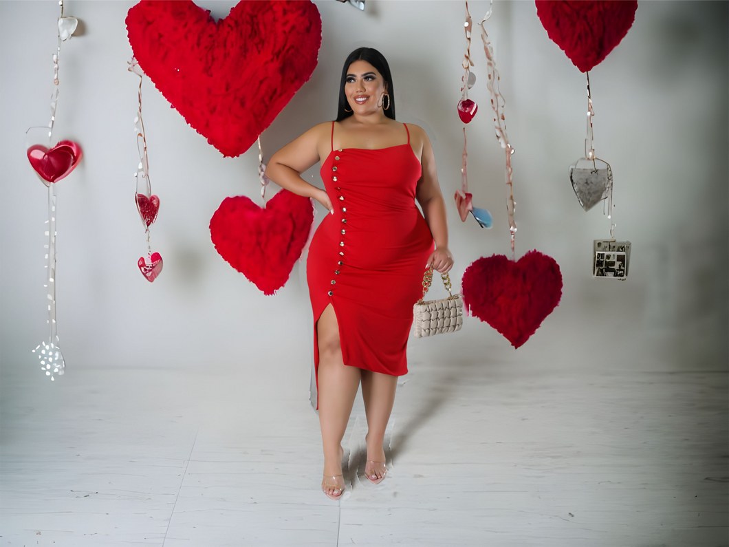 SWEET TART DRESS (PLUS)